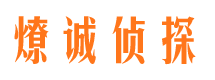 钢城侦探